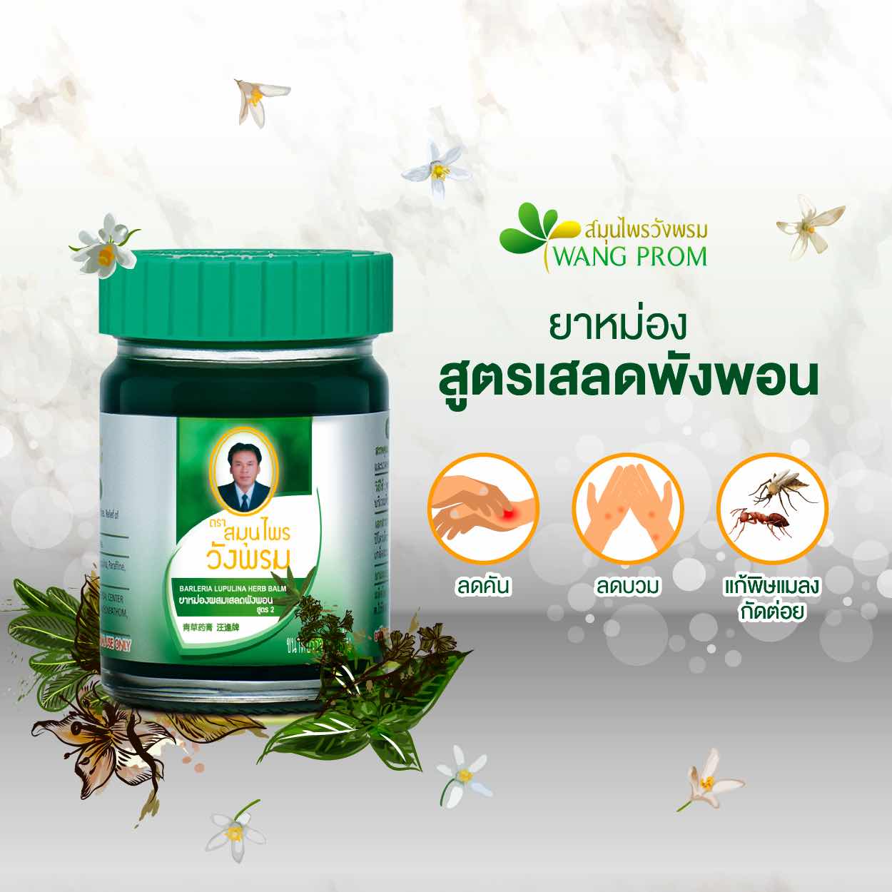 Cao Xanh Trị Côn Trùng Đốt CTC18 Wangprom 50g Thái Lan Chính Hãng - ảnh 2