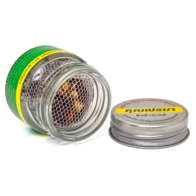 Chai Hít Xoang Thảo Dược CTC05 Khun Prama Thái Lan [8g] Chính Hãng - ảnh 3